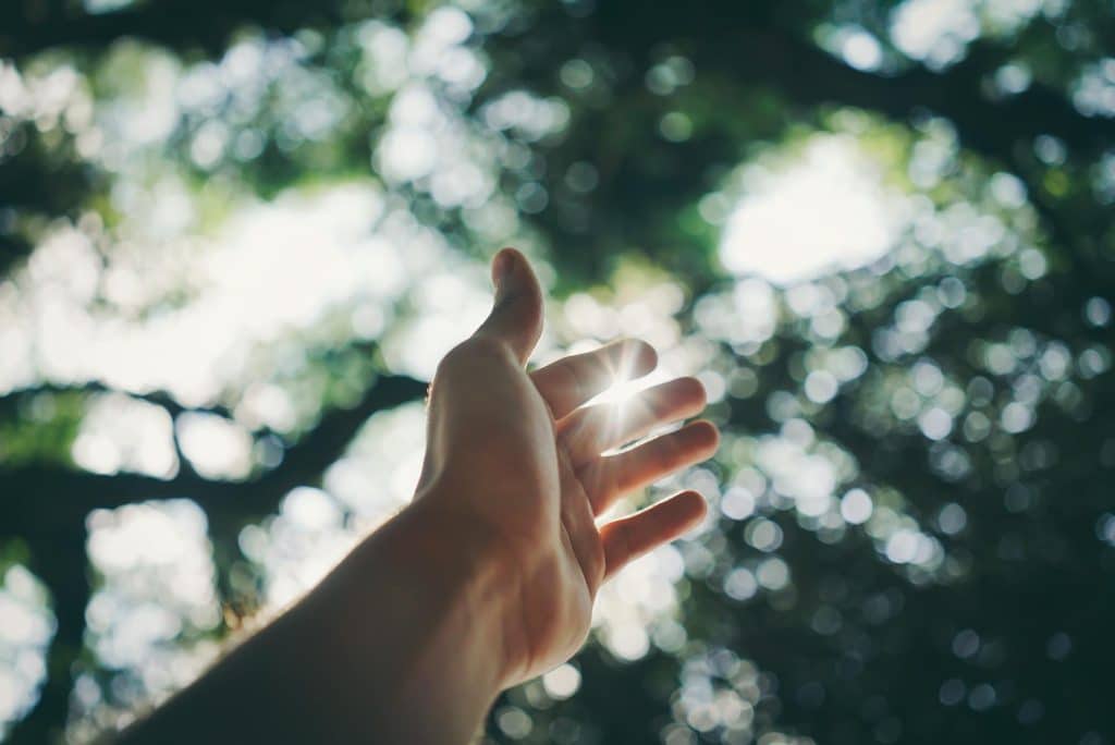 A hand reaching towards the sky with sunlight shining through the fingers and a blurred background of trees.
