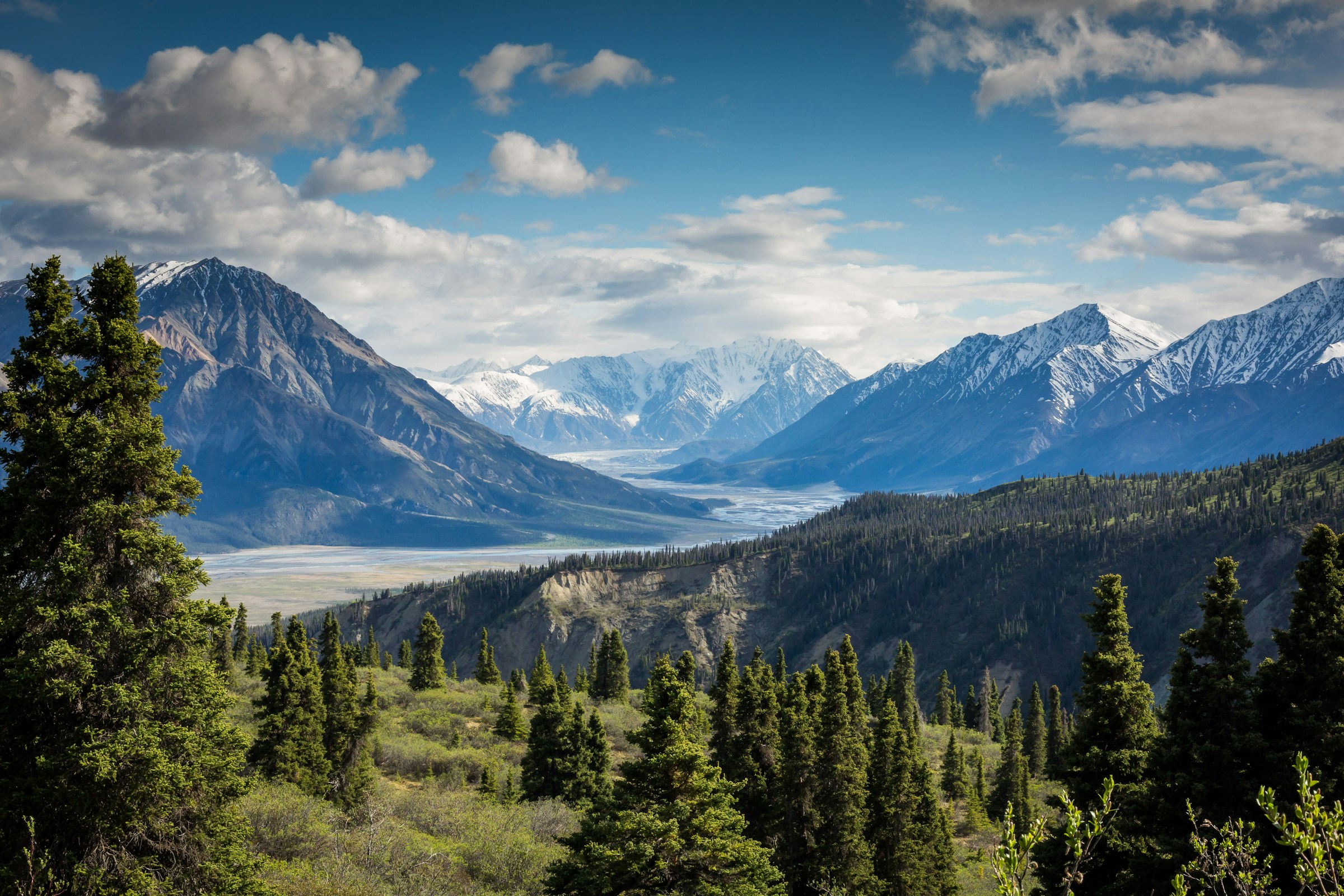 Panoramic view of snow-capped Canadian mountains and evergreen forests, representing the strength and resilience of RCMP members seeking counselling in BC and Alberta.